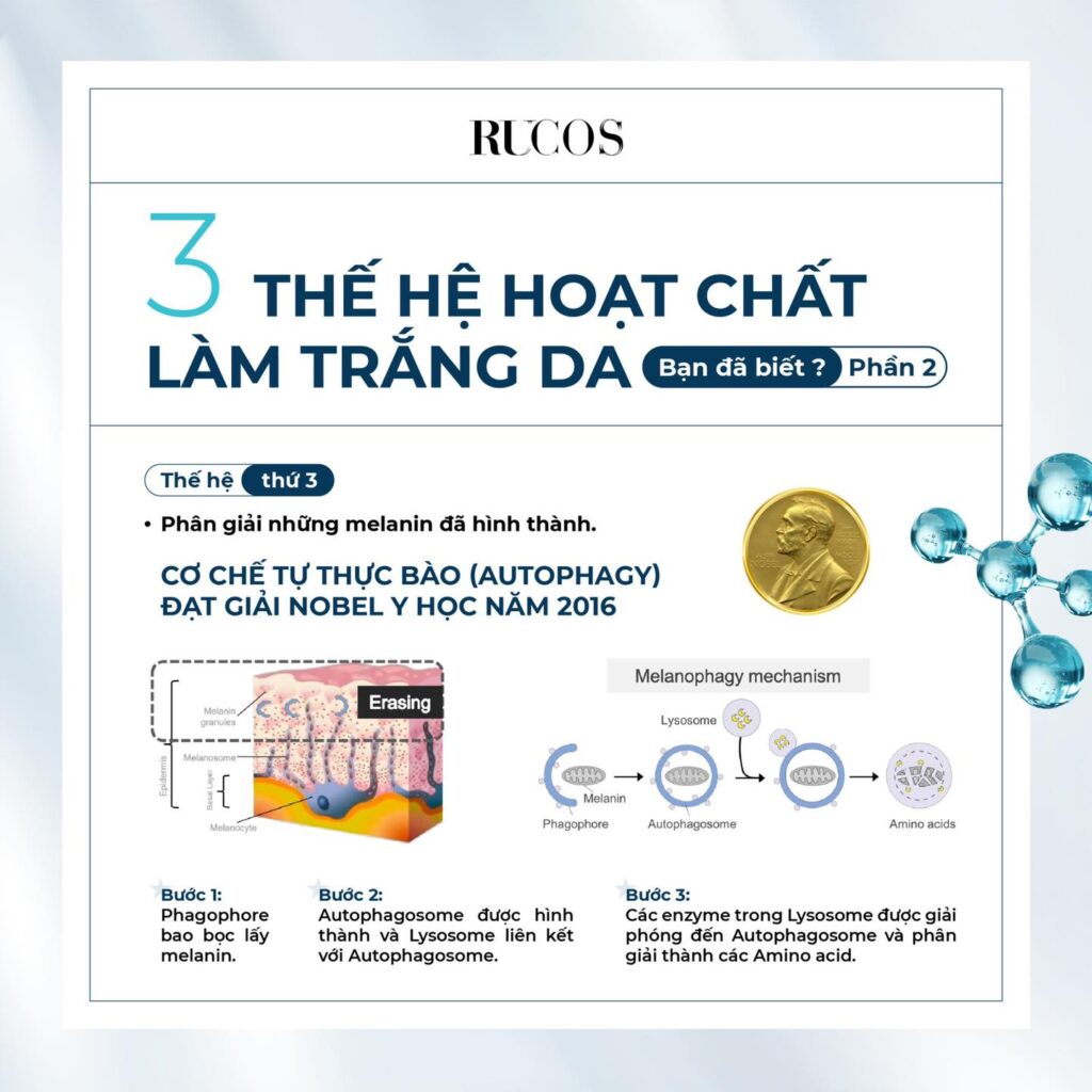 hoạt chất làm trắng