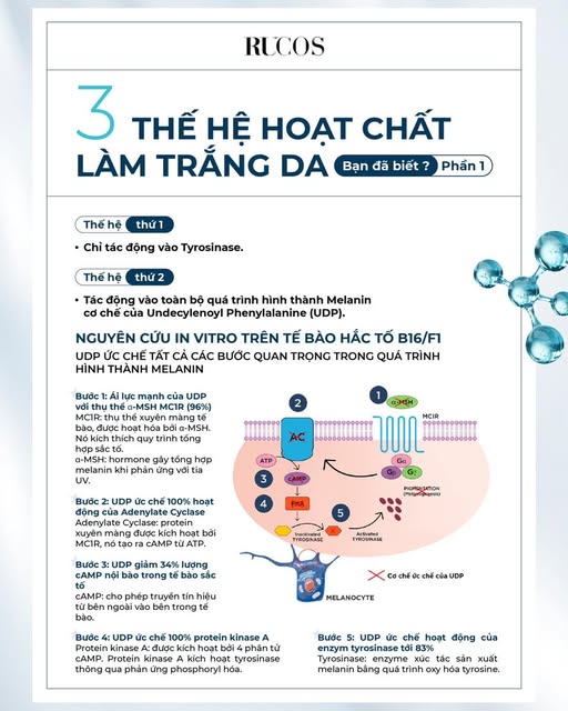 Hoạt chất làm trắng